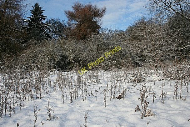 Photo 6"x4" Corstorphine Hill Murrayfield\/NT2173 c2010