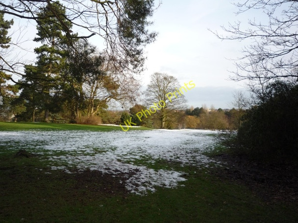 Photo 6"x4" Valley Gardens Harrogate c2009