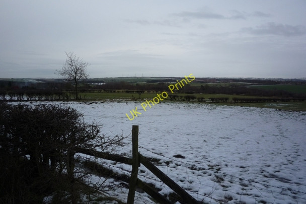 Photo 6"x4" From the Pinewoods path Harrogate c2009