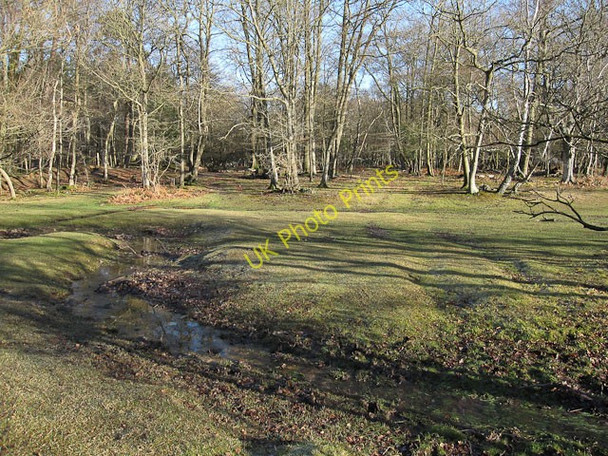 Photo 6"x4" Clayhill Heath Balmerlawn c2010