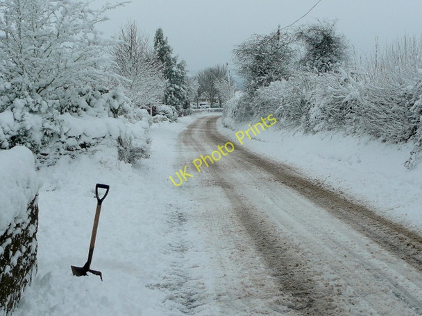 Photo 6"x4" Snowy Bromsash 1 Bromsash c2010