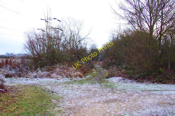 Photo 6"x4" Bridleway to Marsh Baldon Baldon Row c2010