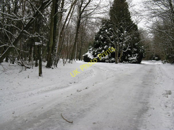 Photo 6"x4" Road and footpath through Dale Park Madehurst c2010