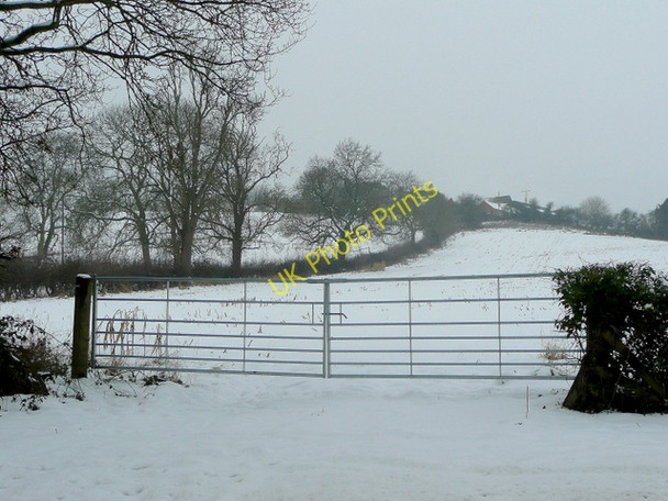Photo 6"x4" Eastern Hill Astwood Bank c2010