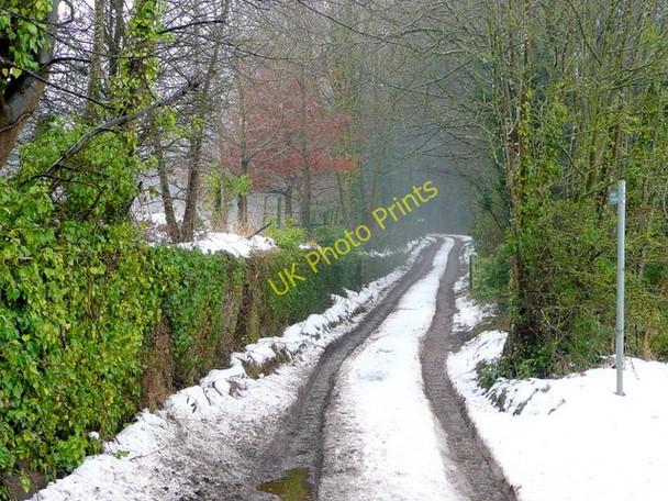 Photo 6"x4" Track and footpath to Taynton House Anthony's Cross c2010