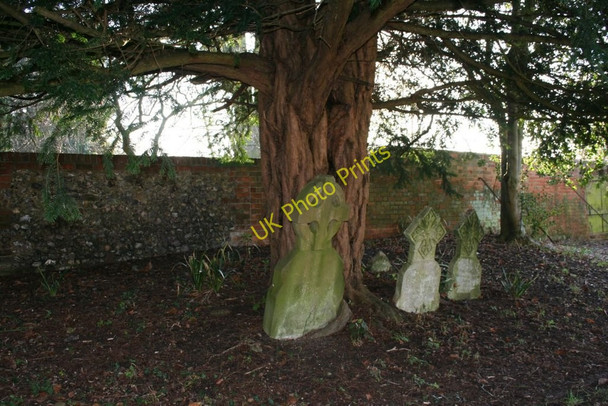 Photo 6"x4" Graves under the tree Brightwell-cum-Sotwell c2010