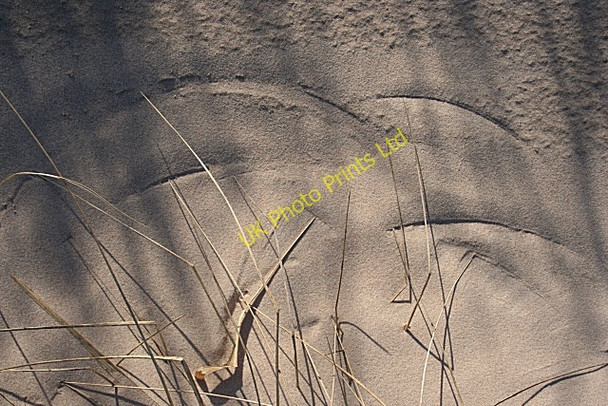 Photo 6"x4" Sand Patterns Lossiemouth c2008