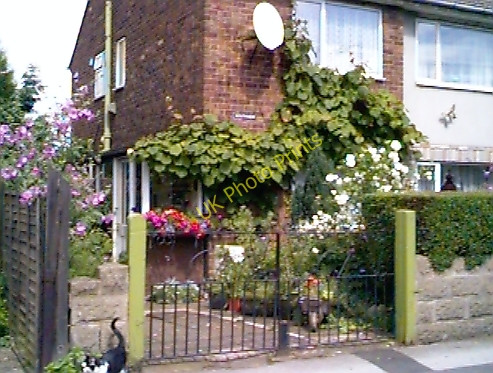 Photo 6"x4" Cottage Garden. Oldbury\/SO9888 c2008