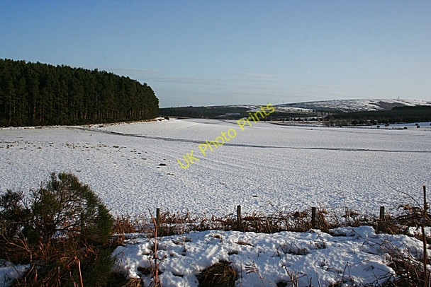 Photo 6"x4" No Gliding Today Thomshill c2010