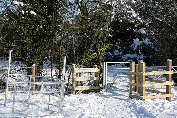 Photo 6"x4" Path towards The Vyne Sherborne St John c2010