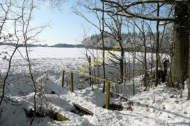 Photo 6"x4" From Morgaston Woods Sherborne St John c2010
