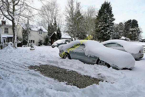 Photo 6"x4" One got out Bramley\/SU6559 c2010