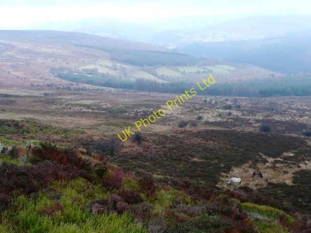 Photo 6"x4" South from the flank of Bal-Mawr Llanthony c2008