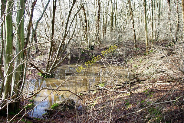 Photo 6"x4" Iron ore pit, Minepit Wood Ashurst Wood\/TQ4136 c2010