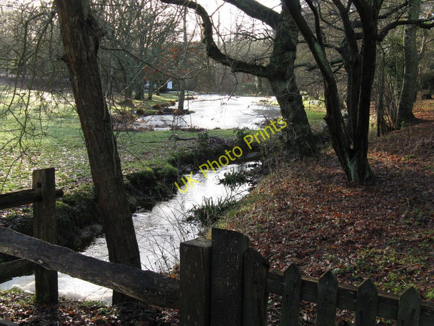 Photo 6"x4" Tributary of the River Stor running past private pond Wiggonholt c2010