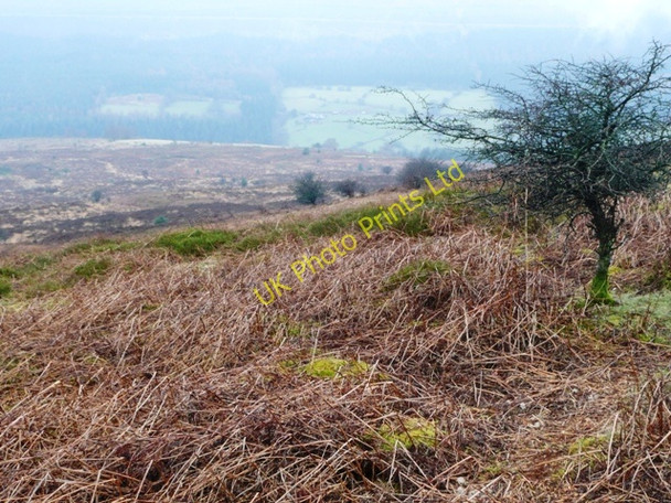 Photo 6"x4" Descent from Bal-Mawr Llanthony c2008
