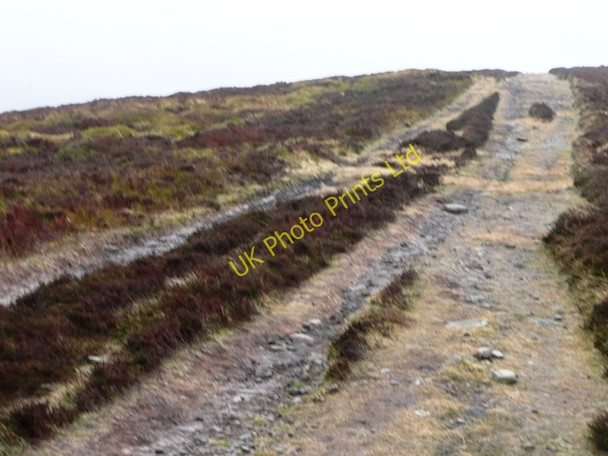 Photo 6"x4" On Bwlch Bach Capel-y-ffin c2008