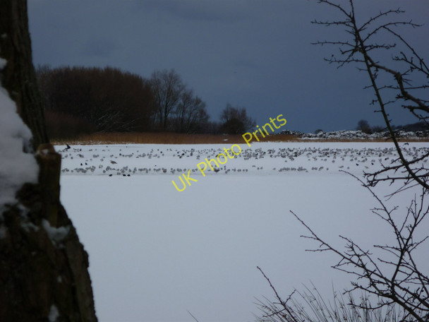Photo 6"x4" Holywell Pond in Winter Holywell\/NZ3174 c2010