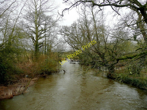 Photo 6"x4" River Culm - downstream Columbjohn c2010