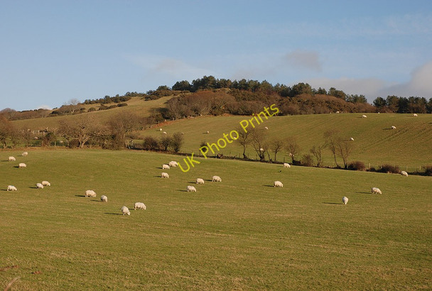 Photo 6"x4" Fields south of Staylittle Staylittle c2010