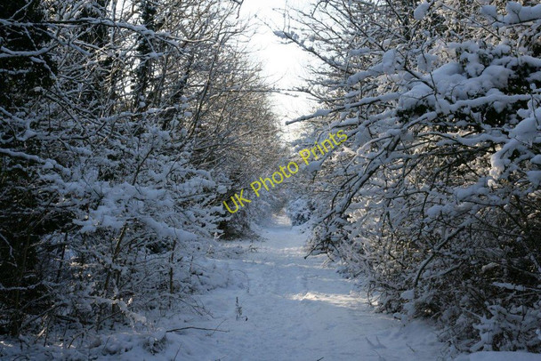 Photo 6"x4" Old Reading road Wallingford c2010