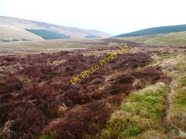 Photo 6"x4" Ah, there's one Capel-y-ffin c2008