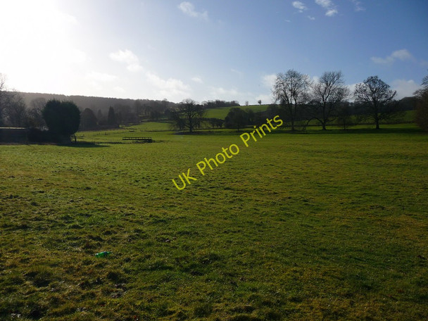 Photo 6"x4" Hurstbourne Tarrant - Field Hurstbourne Tarrant c2010