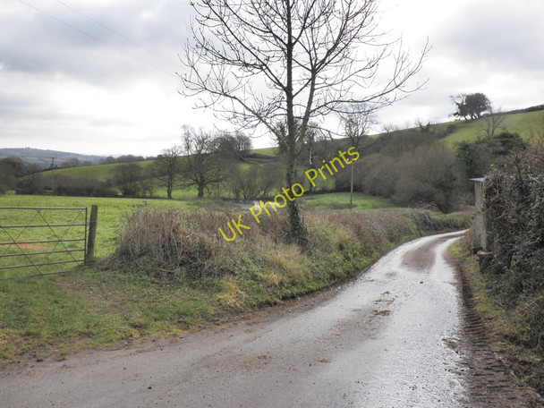 Photo 6"x4" Access road to Greenslinch Livingshayes c2010
