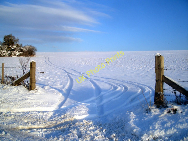 Photo 6"x4" Field Tracks North Stoke\/SU6186 c2010