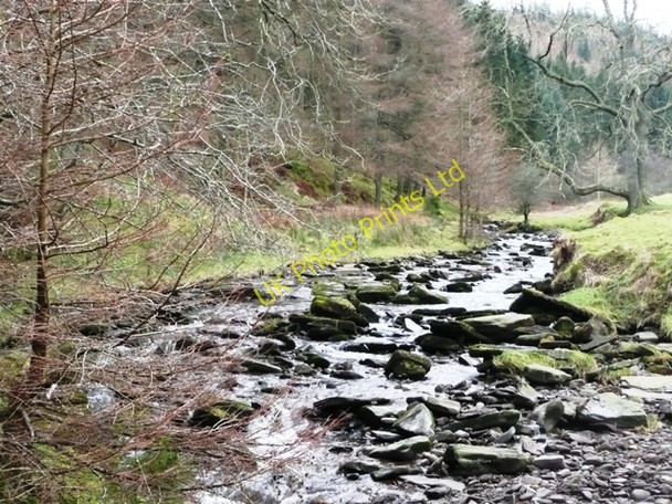 Photo 6"x4" Gwryne Fawr Capel-y-ffin c2008
