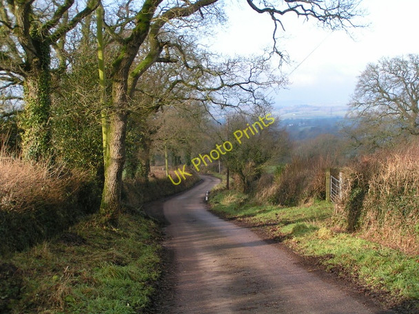 Photo 6"x4" Lane to Wimple near Aller Grove Aller Grove c2010