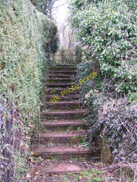 Photo 6"x4" Steps, West Tytherley Gree c2010
