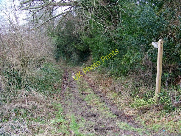 Photo 6"x4" Byway, Buckholt Gree c2010
