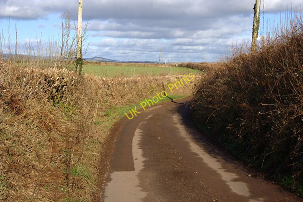 Photo 6"x4" Lane towards Hunts Cross Modbury c2010