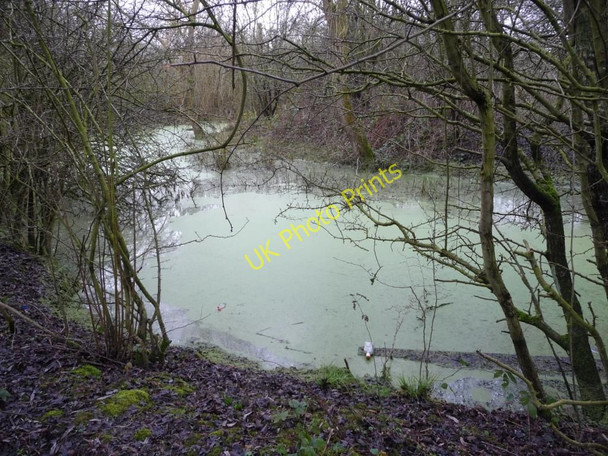 Photo 6"x4" Oxbow lake [1] Long Eaton c2010