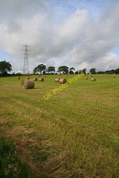 Photo 6"x4" Hay bales near Washingdales Gateside\/NO4344 c2009