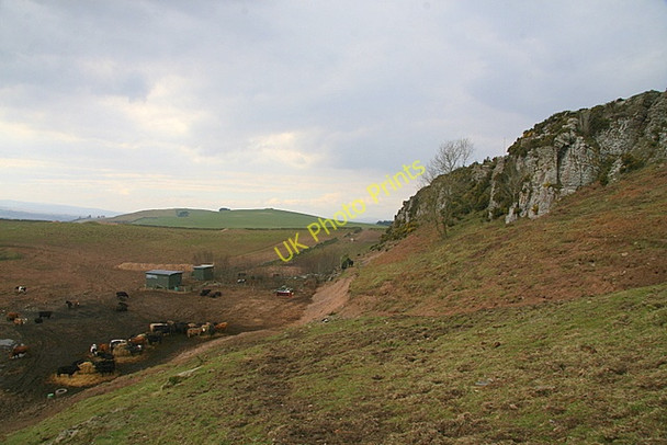 Photo 6"x4" Cows and craggs, Turin Hill Carsegownie c2009