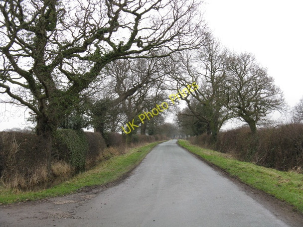 Photo 6"x4" Bradwall Road At Curtishulme Farm Hollinsgreen c2010