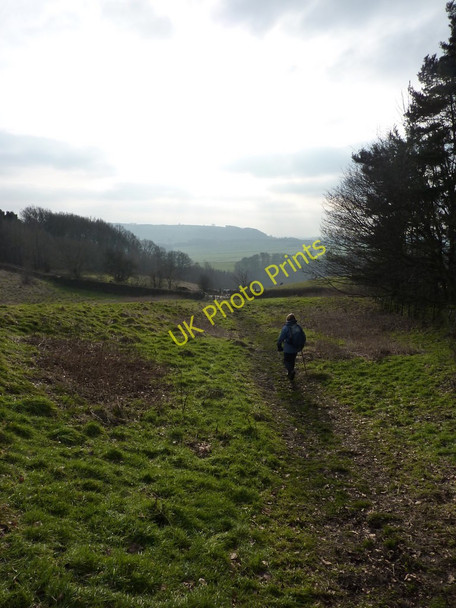 Photo 6"x4" Coming from Bank Wood to School Lane Bubnell c2010