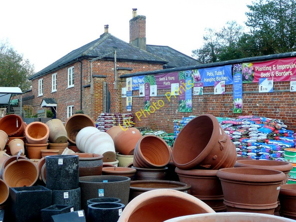 Photo 6"x4" Pot display at Wilton House Garden Centre Wilton\/SU0931 c2009