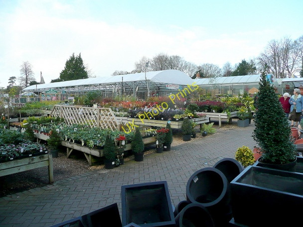 Photo 6"x4" Wilton House Garden Centre Wilton\/SU0931 c2009