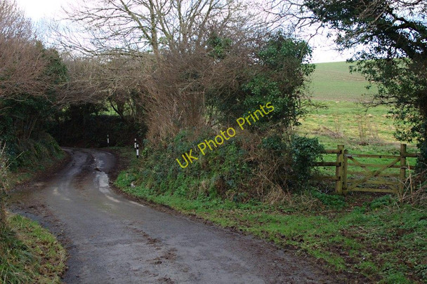Photo 6"x4" The Winding Lane near Wastor Cross Wastor c2010