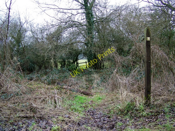 Photo 6"x4" Footpath near Brook Lower Brook c2010