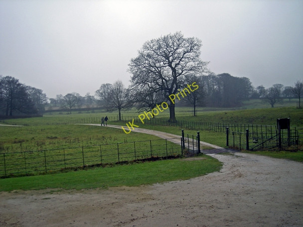 Photo 6"x4" Hare Hill drive No 3 Greendale\/SJ8877 c2010
