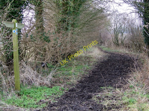 Photo 6"x4" Bridleway, Four Corners Damerham c2010