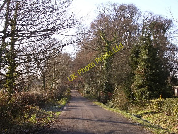 Photo 6"x4" Pinkney Lane, near Lyndhurst, New Forest Bank\/SU2807 c2005