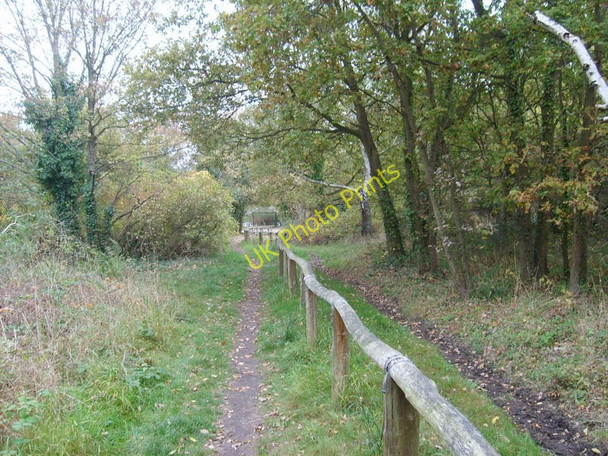 Photo 6"x4" Keep out of the Horse Road Keston c2009
