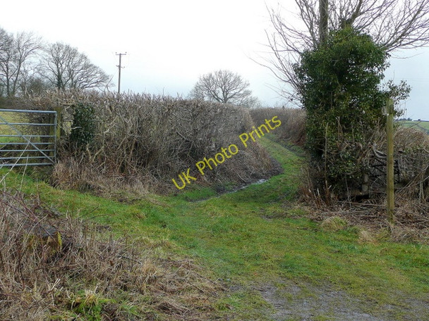 Photo 6"x4" Green lane and footpath Little Merthyr c2010