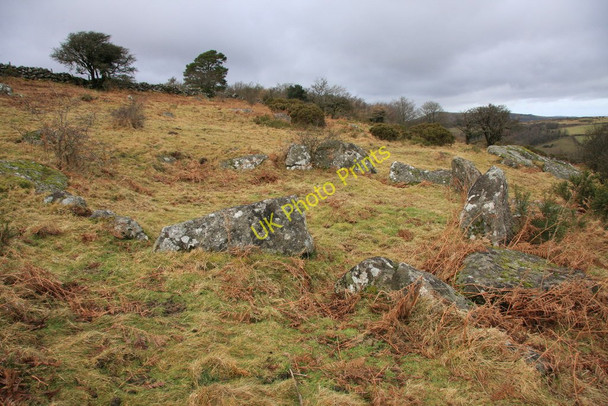 Photo 6"x4" Hut circle south-east of Honeybag Tor Bonehill\/SX7277 c2010