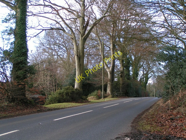 Photo 6"x4" Road to Exeter West Hill\/SY0694 c2010